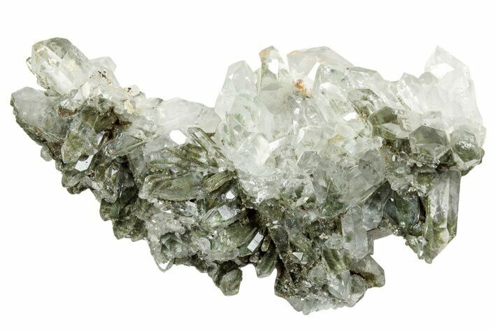 Chlorite Included Quartz Crystal Cluster - Pakistan #244317